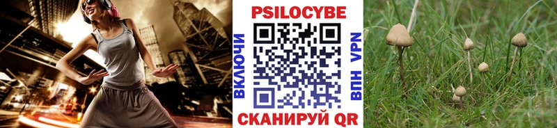Галлюциногенные грибы Psilocybine cubensis  купить наркотик  MEGA ONION  Иннополис 